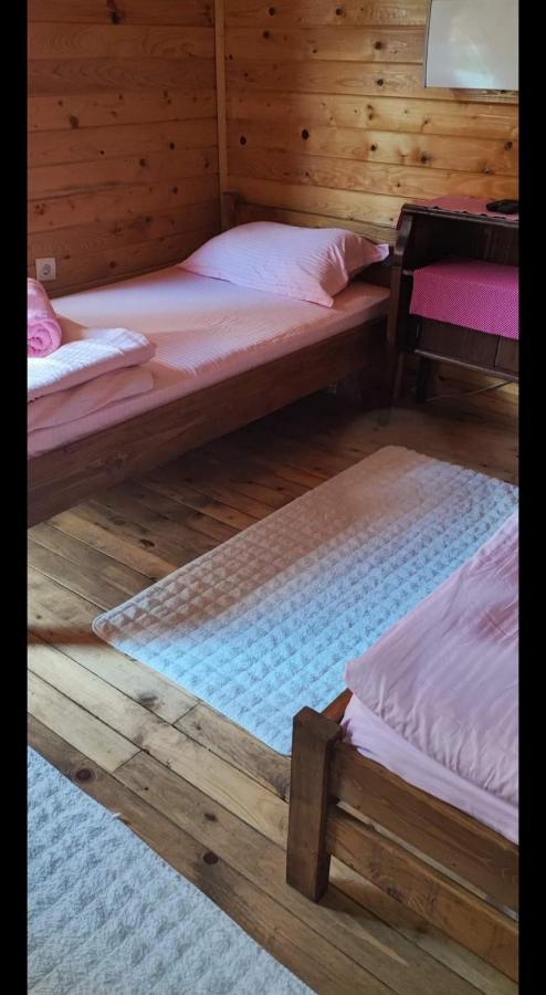 Lolini Bungalovi Novi Sad Eksteriør billede