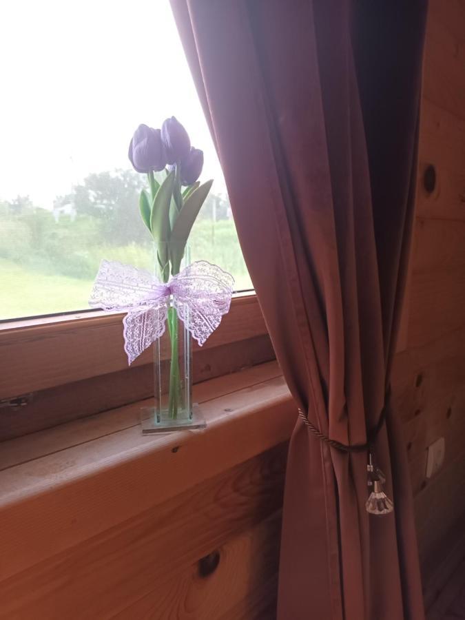 Lolini Bungalovi Novi Sad Eksteriør billede