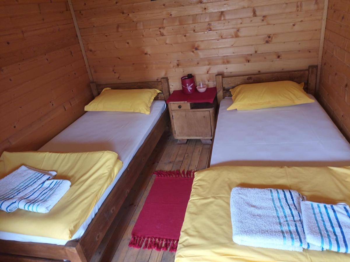 Lolini Bungalovi Novi Sad Eksteriør billede