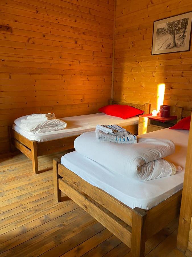 Lolini Bungalovi Novi Sad Eksteriør billede