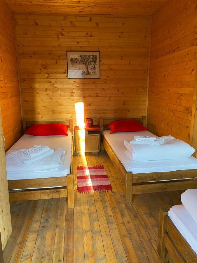 Lolini Bungalovi Novi Sad Eksteriør billede