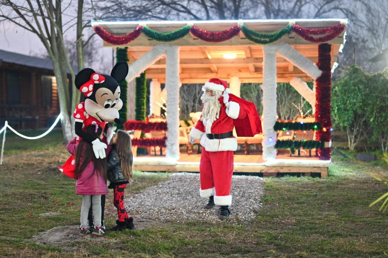 Lolini Bungalovi Novi Sad Eksteriør billede