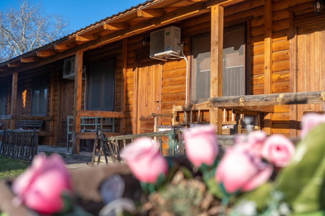 Lolini Bungalovi Novi Sad Eksteriør billede
